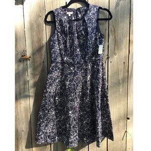 Talbots Petite NWT Navy White Floral Print 6P